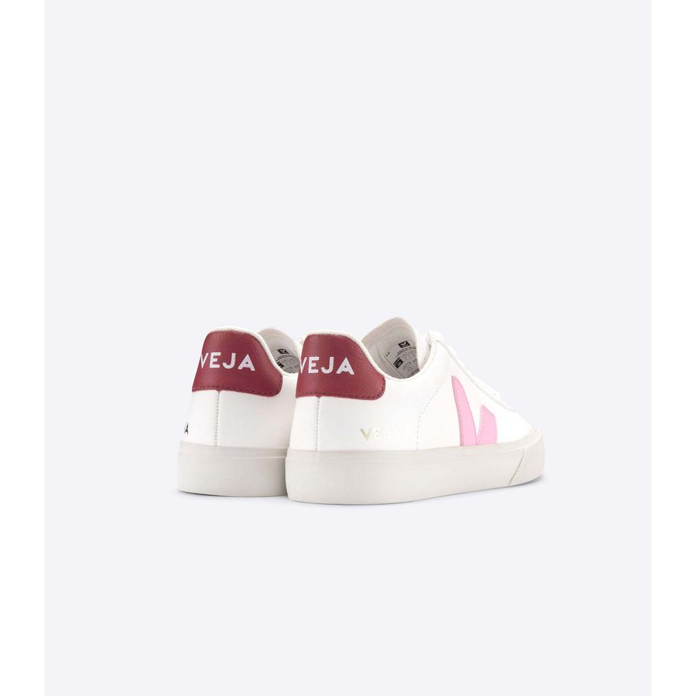 Veja CAMPO CHROMEFREE Low Tops Sneakers Herre White/Pink | NO 293YXF